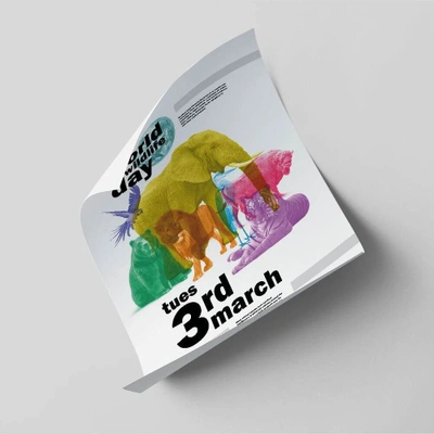 Posters Print services